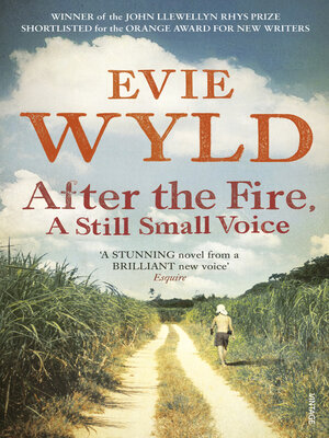 cover image of After the Fire, a Still Small Voice